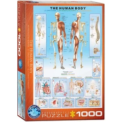 EuroGraphics 1000 db-os puzzle - The Human Body (6000-1000)