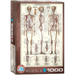 EuroGraphics 1000 db-os puzzle - The Skeletal System (6000-3970)