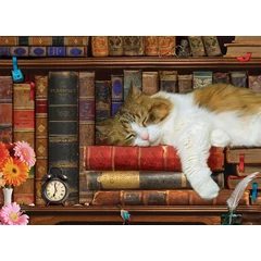 EuroGraphics 500 db-os puzzle - The Cat Nap (6500-5545)