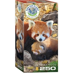 EuroGraphics 250 db-os puzzle - Red Pandas (8251-5557)