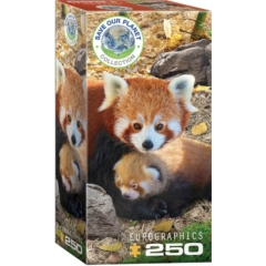 EuroGraphics 250 db-os puzzle - Red Pandas (8251-5557)