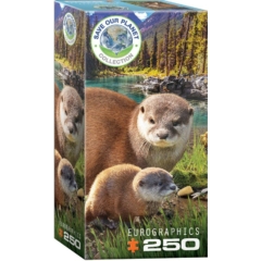 EuroGraphics 250 db-os puzzle - Otters (8251-5558)