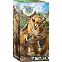 EuroGraphics 250 db-os puzzle - Tigers (8251-5559)