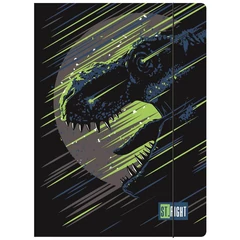 St.Right - A/4 gumis mappa - Dinoszaurusz (669859)