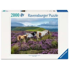 Ravensburger 2000 db-os puzzle  - Vadlovak a mezőn (12001751)