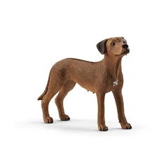 Schleich 13895 Afrikai oroszlánkutya figura - Farm World