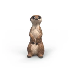 Schleich 14935 Szurikáta - Wild Life