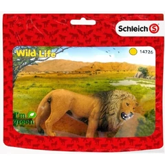 Schleich 14726S Üvöltő oroszlán figura - Wild Life (SLH14726S)