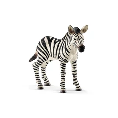 Schleich 14811 Zebra csikó figura - Wild Life (SLH14811)
