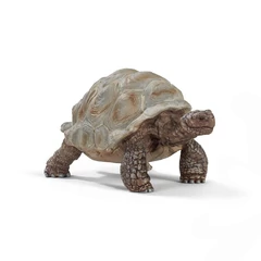 Schleich 14824S Óriásteknős figura - Wild Life (SLH14824S)