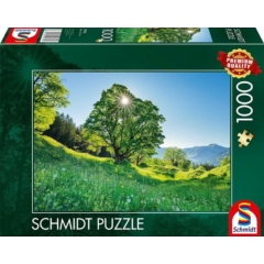 Schmidt 1000 db-os puzzle - Sycamore Maple in the Sunlight, St. Gallen, Switzerland (59761)