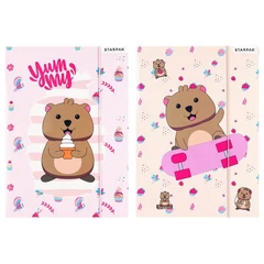 Állatkás A/4 gumis mappa - kétféle (583304)