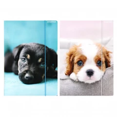 Kutyás A/4 gumis mappa - kétféle (559719)