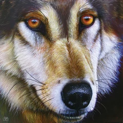 SunsOut 1000 db-os puzzle - Wolf Face - Jurek (58644)