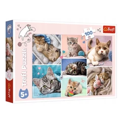 Trefl 100 db-os puzzle - A macskák világa (16420)