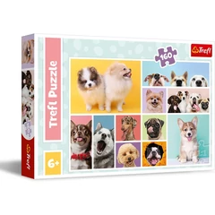 Trefl 160 db-os puzzle - Kutyabarátság (15412)