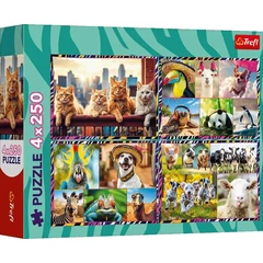 Trefl 4 x 250 db-os puzzle - Mókás állatok (13313)