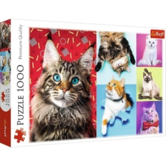 Trefl 1000 db-os puzzle - Boldog macskák