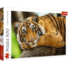 Trefl 500 db-os puzzle - Tigris portré (37397)