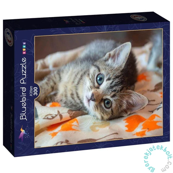Bluebird 300 db-os puzzle - Kitten (90083)