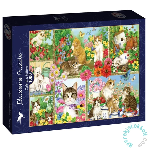 Bluebird 1000 db-os puzzle - Cats and Kittens (91014)