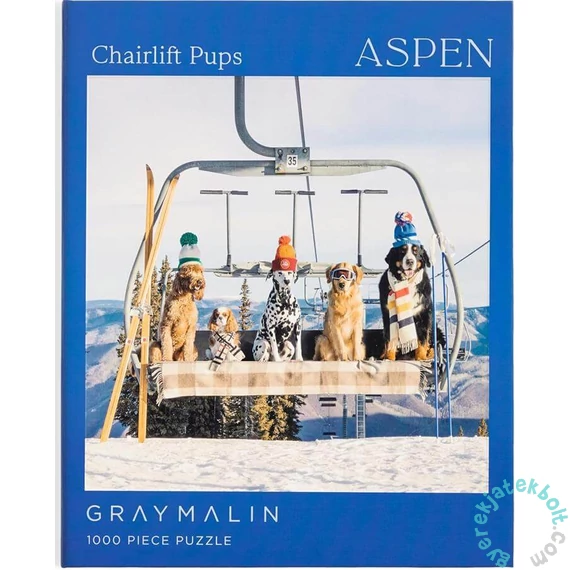 Galison 1000 db-os puzzle könyv alakú dobozban - Aspen, Gray Malin (83807)