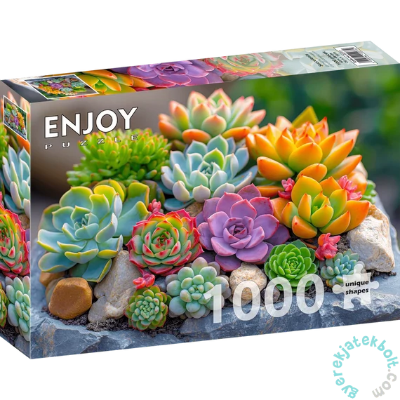 Enjoy 1000 db-os puzzle - Succulents (2277)