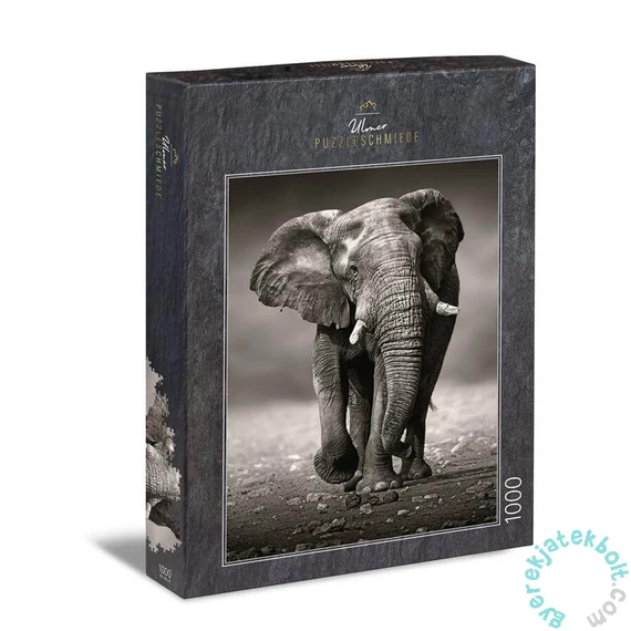 Ulmer 1000 db-os puzzle - The Wanderer (0275)