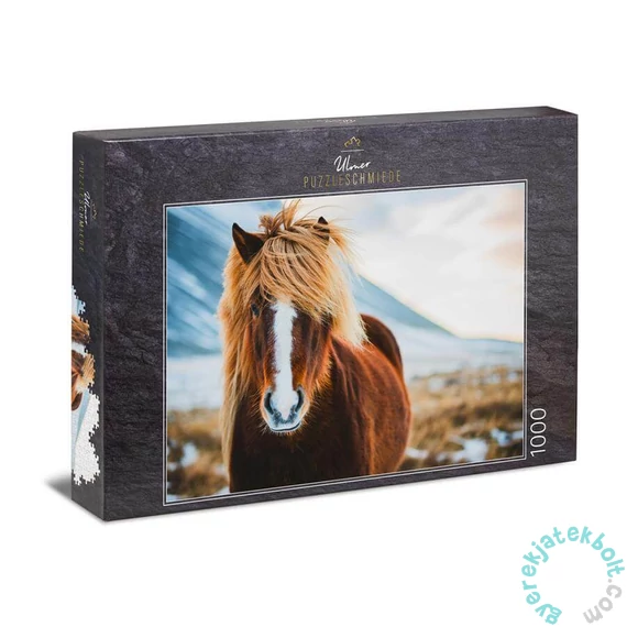 Ulmer 1000 db-os puzzle - Miss Winterhair (0640)