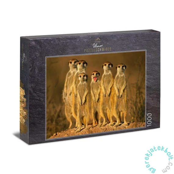 Ulmer 1000 db-os puzzle - Little Rascal (1180)