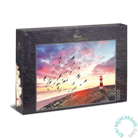 Ulmer 1000 db-os puzzle - North Sea Longing (1234)