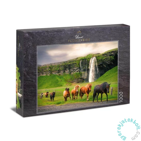 Ulmer 1000 db-os puzzle - Icelandic Horse (2804)