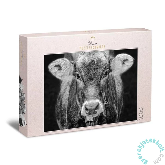 Ulmer 1000 db-os puzzle - Allgäu (2927)