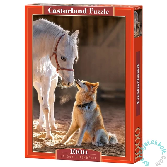 Castorland 1000 db-os puzzle - Unique Friendship (C-105076)