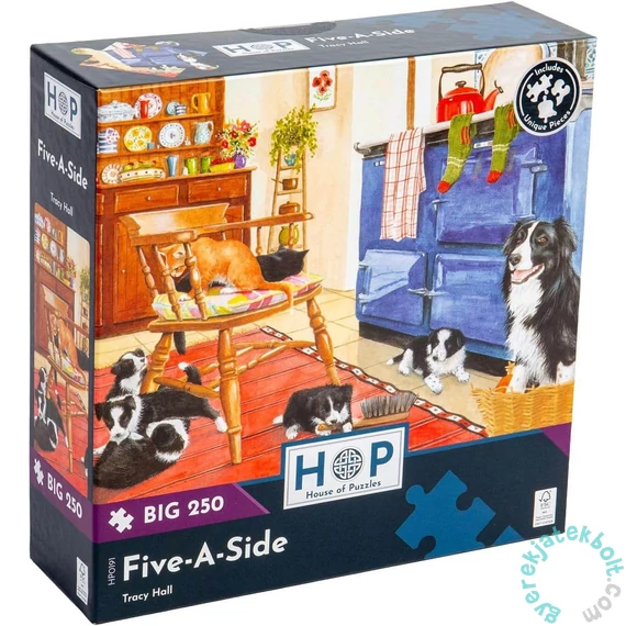 House of Puzzles 250 db-os XXL puzzle - Five-A-Side (HP0191)