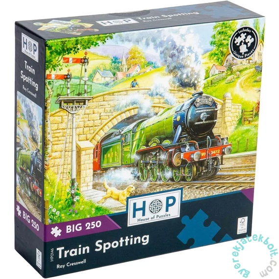 House of Puzzles 250 db-os XXL puzzle - Train Spotting (HP0146)