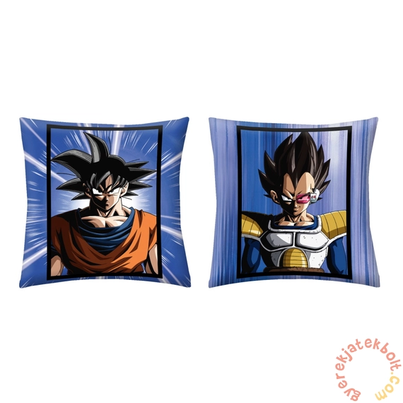 Dragon Ball - Son Goku és Vegita 40 x 40 cm-es
