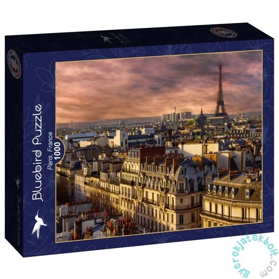 Bluebird 1000 db-os puzzle - Paris, France (90139)