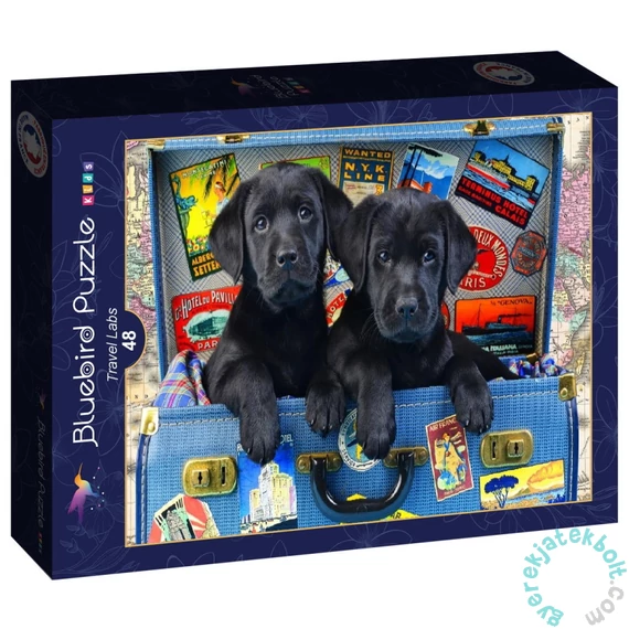 Bluebird Kids 48 db-os puzzle - Travel Labs (90053)