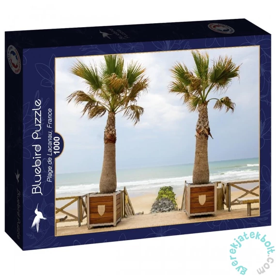 Bluebird 1000 db-os puzzle - Plage de Lacanau, France ( 90484)
