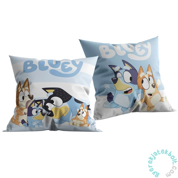 Bluey 40 x 40 cm-es párna (BY-8525C)