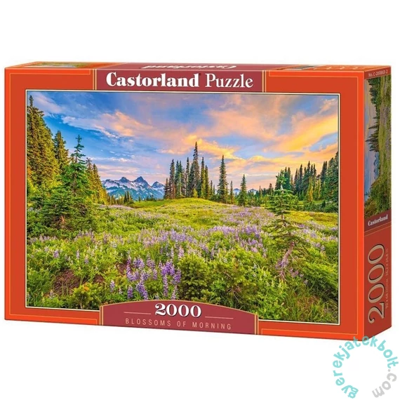 Castorland 2000 db-os puzzle - Reggeli virágok (C-200863)