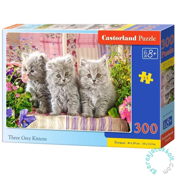 Castorland 300 db-os puzzle - Három szürke kiscica (B-030330)