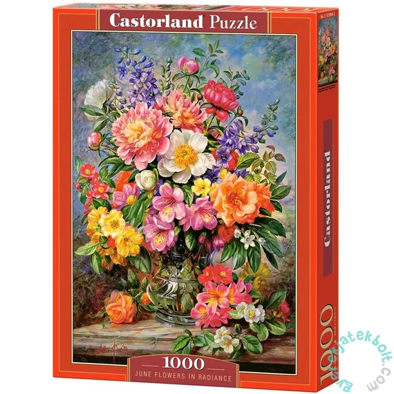 Castorland 1000 db-os puzzle - Júniusi virágok (C-103904)