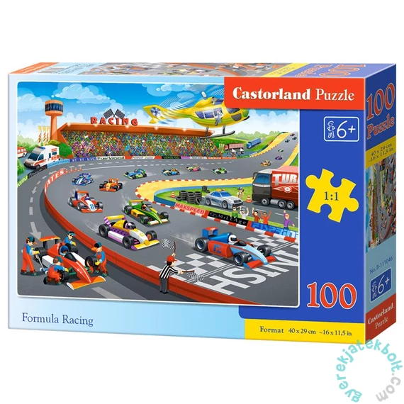 Castorland 100 db-os puzzle - Forma 1 (B-111046)
