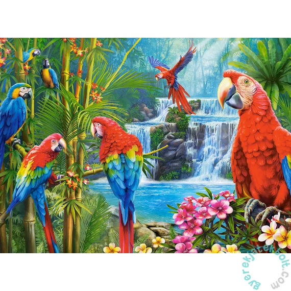 Castorland 2000 db-os puzzle - Parrot Meeting (C-200870)