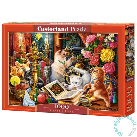 Castorland 1000 db-os puzzle - Varázsló cicák (C-104857)