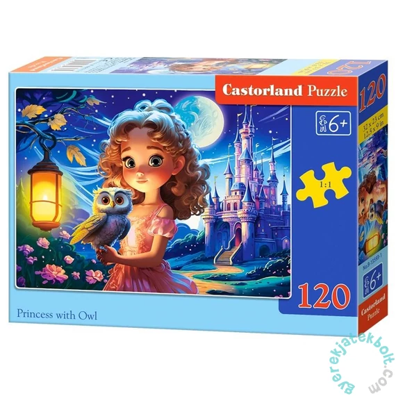 Castorland 120 db-os puzzle - Hercegnő bagollyal (B13593)