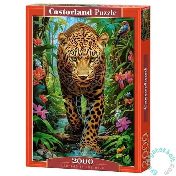 Castorland 2000 db-os puzzle - Leopárd (C-200955)