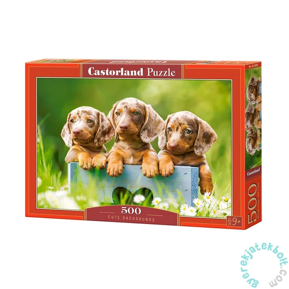 Castorland 500 db-os puzzle - Aranyos tacskók (B-53605)